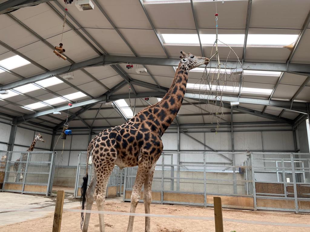 zoo3