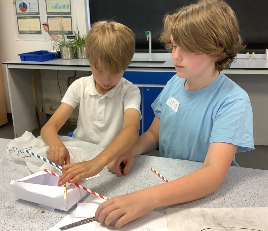 Yr5_Experiment_2.jpeg