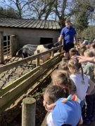 EYFS-Farm-Visit-4